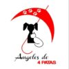 GRANADA - ASOCIACIÓN ÁNGELES DE 4 PATAS