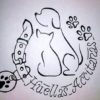 GRANADA - ASOCIACIÓN HUELLAS ACCITANAS DE GUADIX