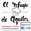 VALENCIA - ASOCIACIÓN EL REFUGIO DE AQUILES