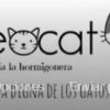 MURCIA - GEOCAT CARTAGENA