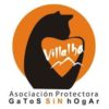 MADRID - ASOCIACIÓN GATOS SIN HOGAR
