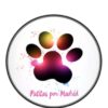 MADRID - PATITAS POR MADRID