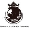 AVILA - ASOCIACIÓN PROTECTORA VILLAPEPA