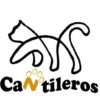 MADRID - ASOCIACIÓN CANTILEROS