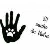 SEVILLA - ASOCIACIÓN EL SUEÑO DE MUFIE
