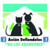 ACCION DEFIENDELOS