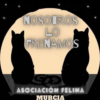 NOSOTROS LO FRENAMOS