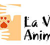 LA VOZ ANIMAL - MADRID