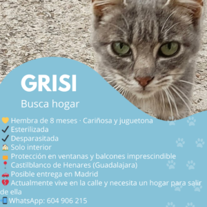 GRISI