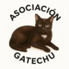 ASOCIACIÓN GATECHU
