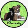 VIDANIMALIS