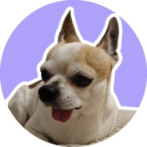 Ringo