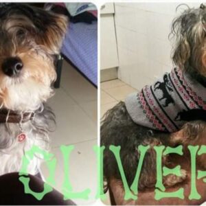Oliver