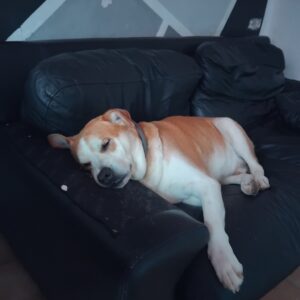 Doby