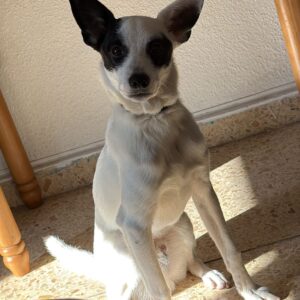 Oskar