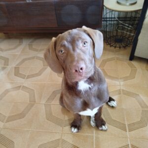 Max