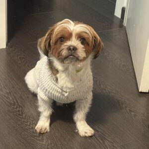 Billy Alejandro