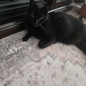 Tom