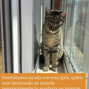 Perla