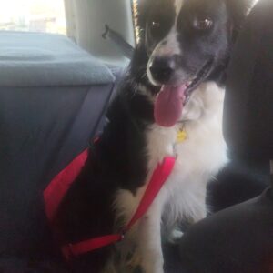 Joaqui