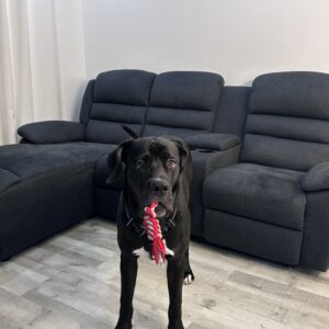 Tyson