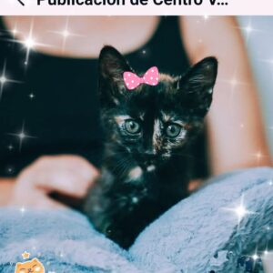 Teresita