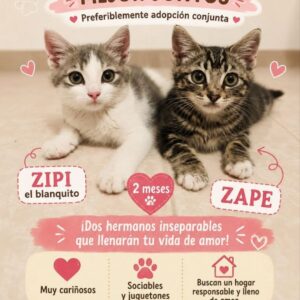 Zipi & Zape