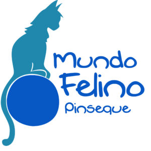 MUNDO FELINO PINSEQUE