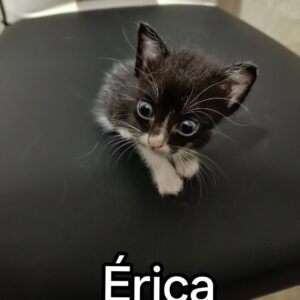 Érica y Abby