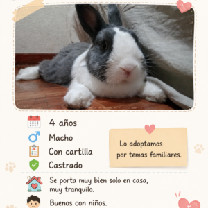 Conejo