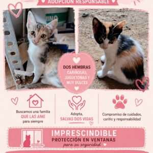 Luna y Mía