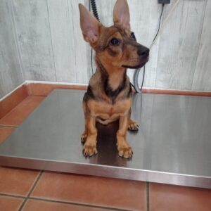 Beny