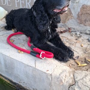 Maxy