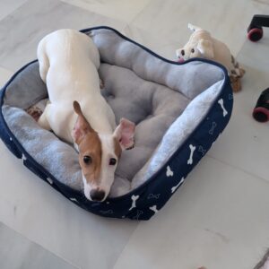 Lilo