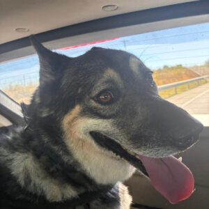 Kira