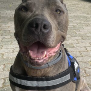 Tyson