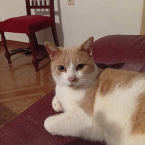Rudy