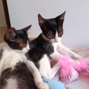 Mimi y Emma