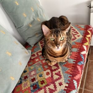 Coco