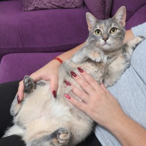 Perla