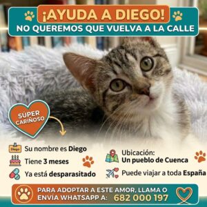 Diego
