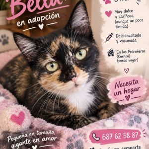 Bella