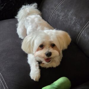 Coco