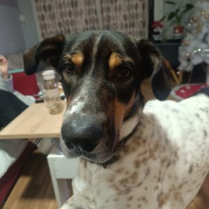 Zeus
